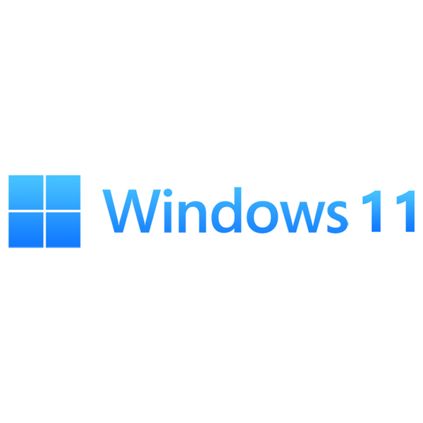 windows 11